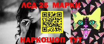 spice Кимры