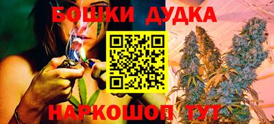 spice Кимры